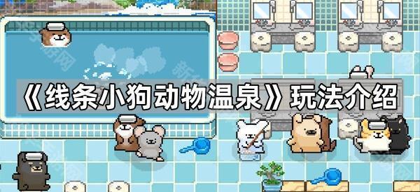 《线条小狗动物温泉》玩法介绍