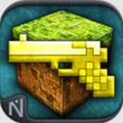 枪的世界联机版